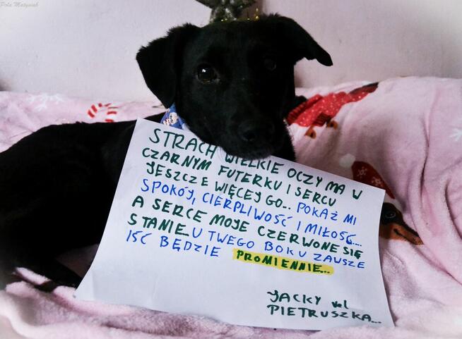 Czas, aby czarna piękność została powoli zauważana