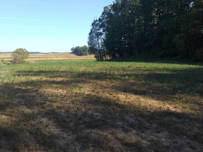 Działka rolna z lasem