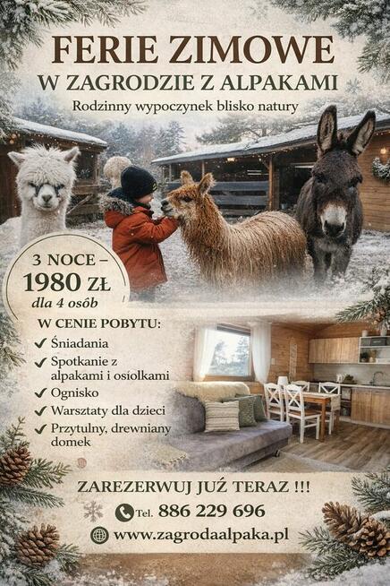 Domek na Kaszubach, ferie w towarzystwie alpak i osiołków