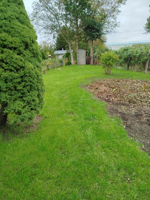 Sprzedam działkę ogrodowa ROD Nowa Sól