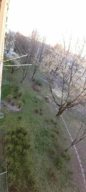 Sprzedam kawalerkę na Teofilowie z balkonem