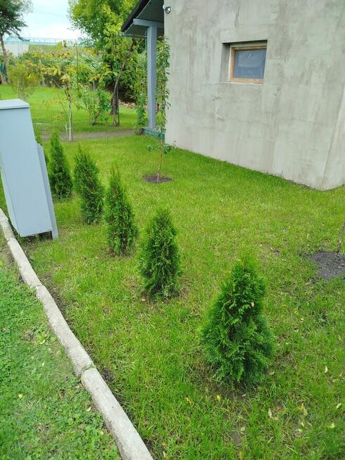 Sprzedam działkę ogrodowa ROD Nowa Sól