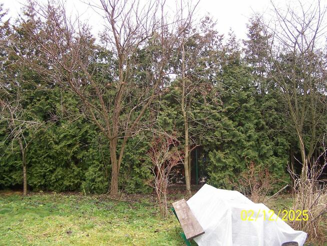 Sprzedam działkę budowlaną w Jarosławiu