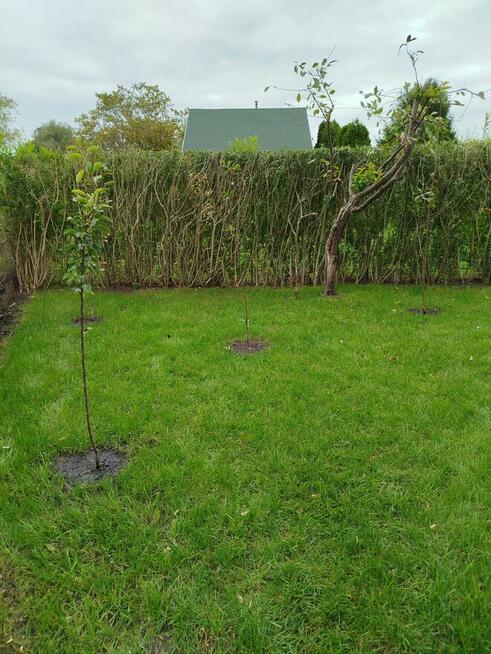 Sprzedam działkę ogrodowa ROD Nowa Sól