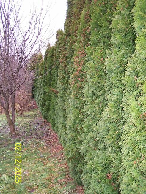 Sprzedam działkę budowlaną w Jarosławiu