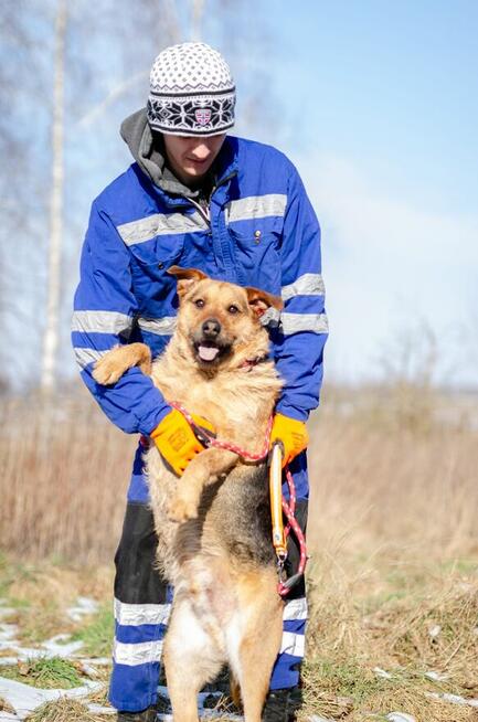 Kufel - fantastyczny, szorstkowłosy psiak szuka domu!
