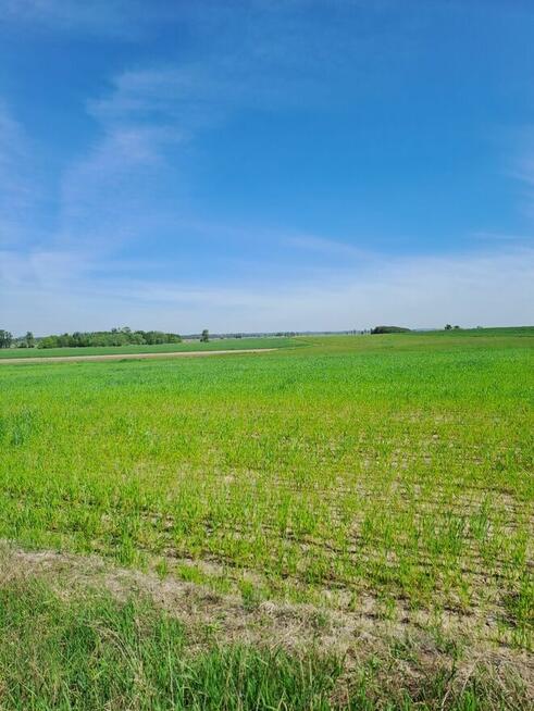 Super Tania Działka Busko Strożyska N.Korczyn Media Ostatnia