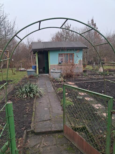 Sptzedam dziełkę na ROD 320m2