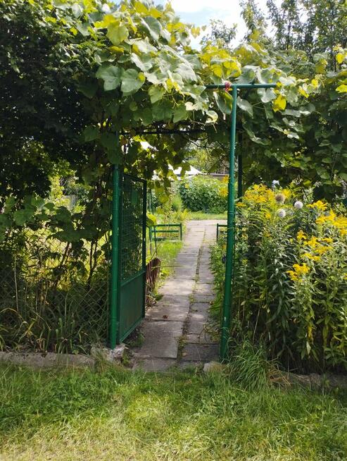 Działka ROD ,,Gaj,, Warszawa ul.Janowiecka 77