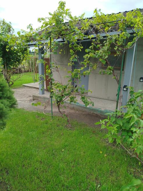 Sprzedam działkę ogrodowa ROD Nowa Sól