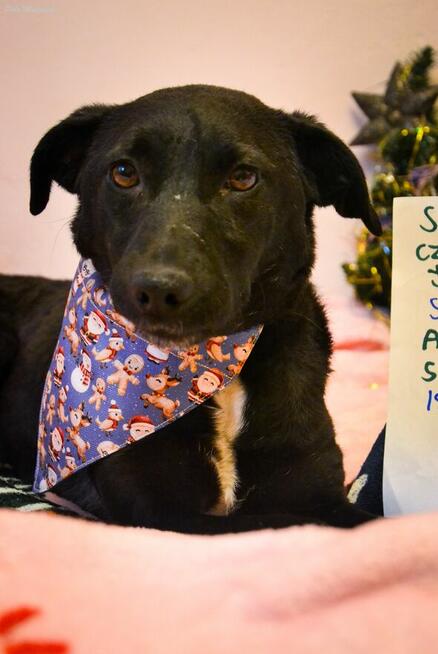 Czas, aby czarna piękność została powoli zauważana