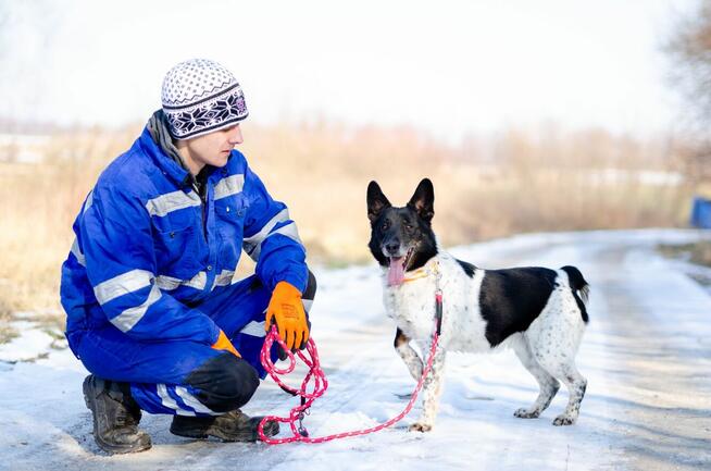 Łatek - inteligentny, radosny, kochający człowieka