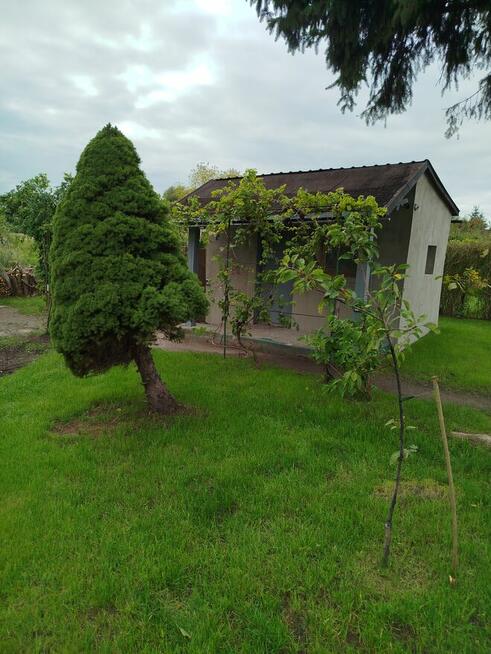 Sprzedam działkę ogrodowa ROD Nowa Sól