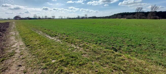 Działka rolno-budowlana Cichów gm. Brudzew