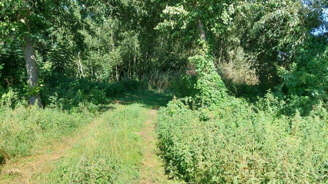 Działka rolno-budowlana Szyszyńskie Holendry gm. Ślesin