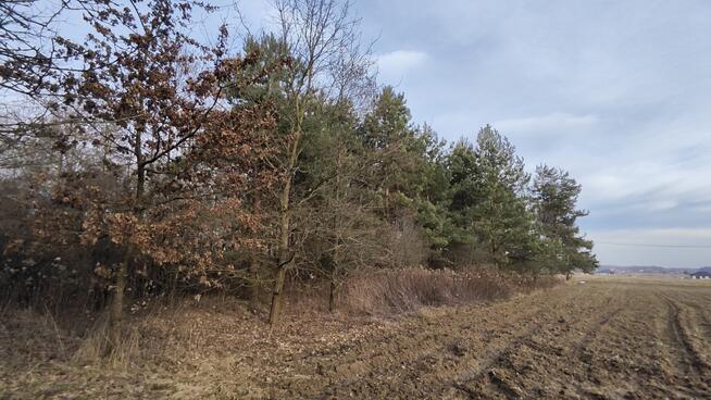 Działka 3000m2 Wielopole, gm. Olesno