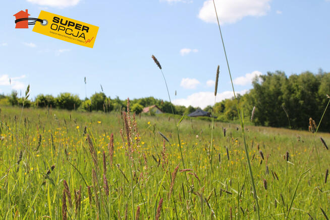 Działka budowlana Sławkowice gm. Biskupice,
