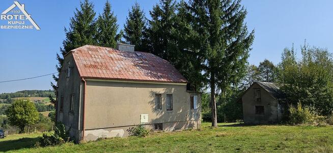 Dom Braciejowa gm. Dębica