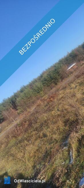 JUSZOWICE gmina Rudna KLIMATYCZNA DZIAŁKA z MPZP