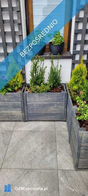 Dwa domy Piastów centrum sprzedam