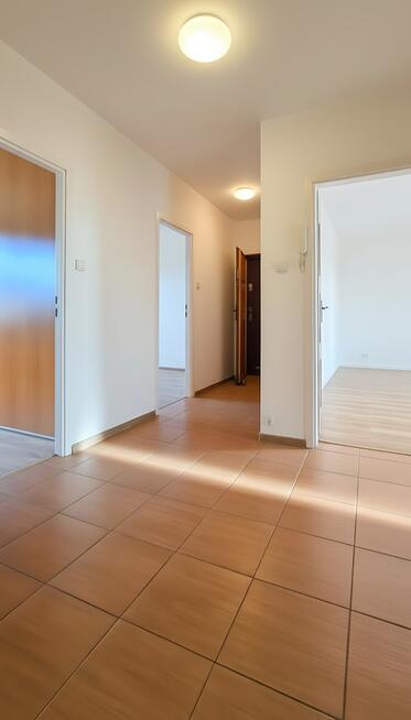 Jasne 4 pokojowe mieszkanie z 3 sypialniami.