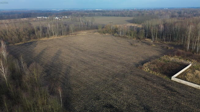 Działka budowlana Pyskowice, Wiejska