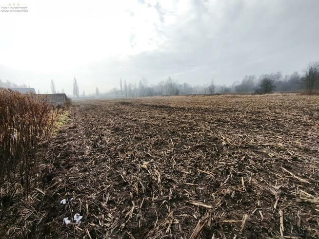 Działka budowlana Pyskowice, Wiejska