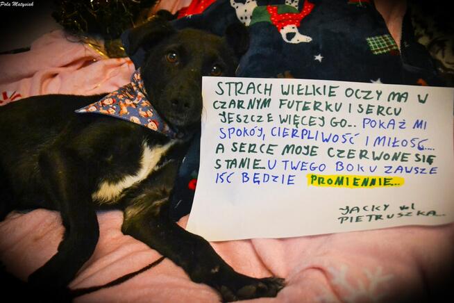 Czas, aby czarna piękność została powoli zauważana