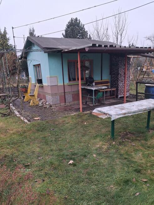 Sptzedam dziełkę na ROD 320m2