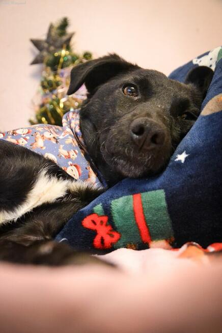 Czas, aby czarna piękność została powoli zauważana