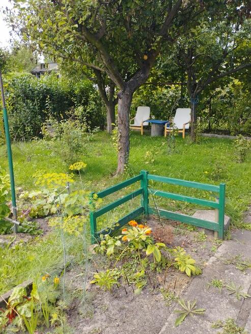 Działka ROD ,,Gaj,, Warszawa ul.Janowiecka 77