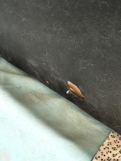 Sofa 2 osobowa rozkładana