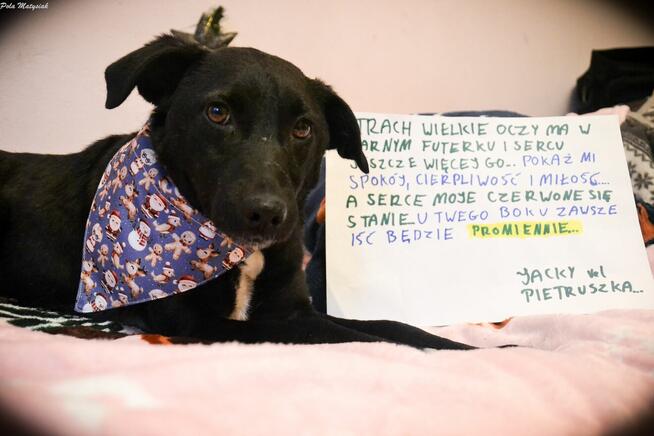 Czas, aby czarna piękność została powoli zauważana