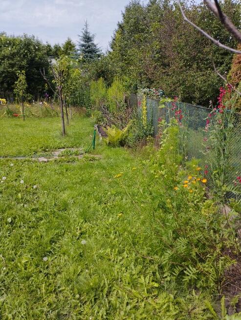 Działka ROD ,,Gaj,, Warszawa ul.Janowiecka 77