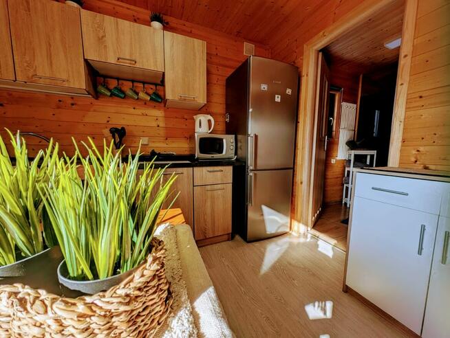 Domek na Kaszubach, ferie w towarzystwie alpak i osiołków