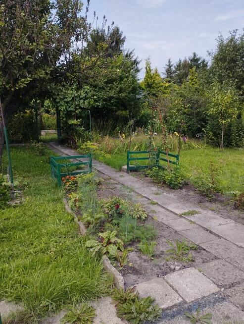 Działka ROD ,,Gaj,, Warszawa ul.Janowiecka 77