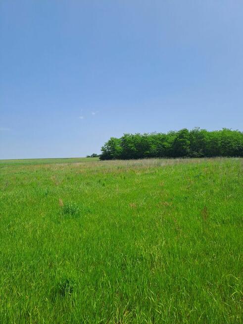 Super Tania Działka Busko Strożyska N.Korczyn Media Ostatnia