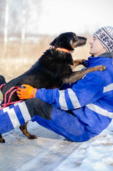 Red - cudowny, zwykły pies o niezwykłym sercu