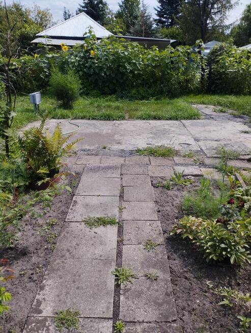 Działka ROD ,,Gaj,, Warszawa ul.Janowiecka 77