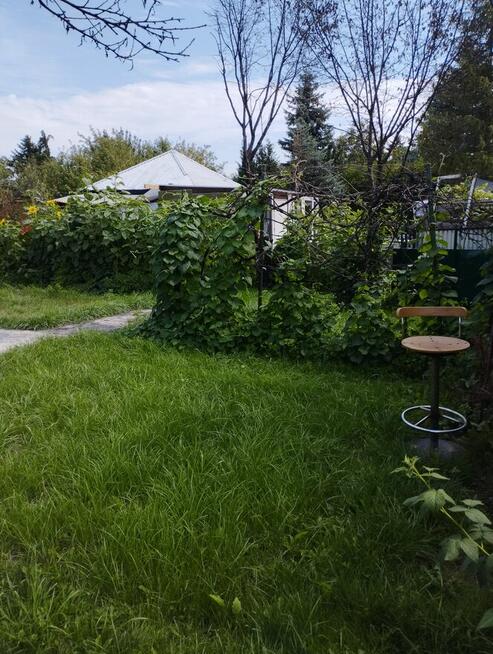 Działka ROD ,,Gaj,, Warszawa ul.Janowiecka 77