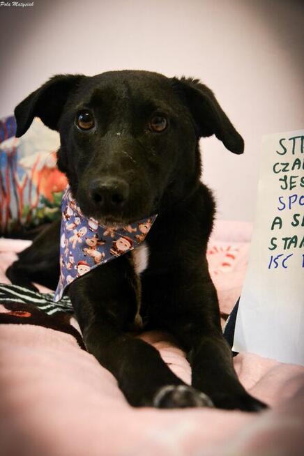 Czas, aby czarna piękność została powoli zauważana