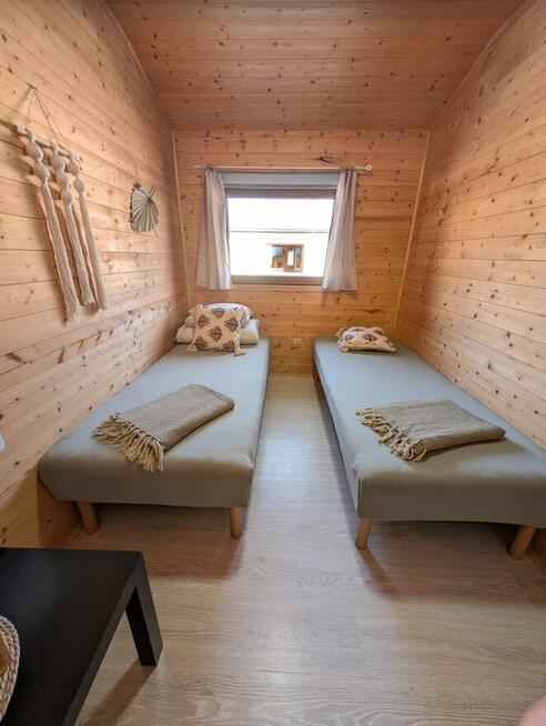 Domek na Kaszubach, ferie w towarzystwie alpak i osiołków