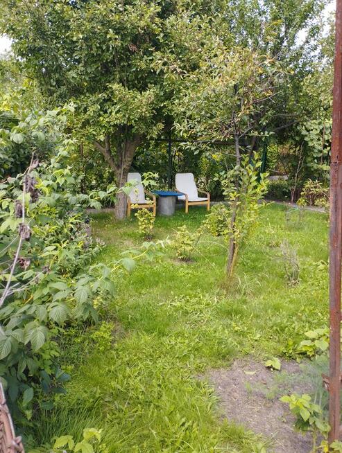 Działka ROD ,,Gaj,, Warszawa ul.Janowiecka 77