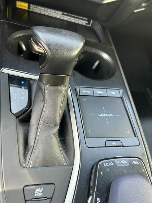 Piękny Lexus UX 250H