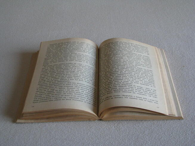 Przygody Hucka, Mark Twain