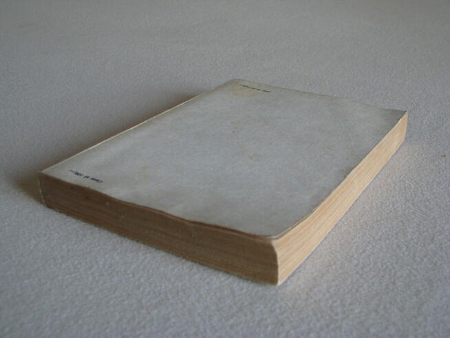 Przygody Hucka, Mark Twain