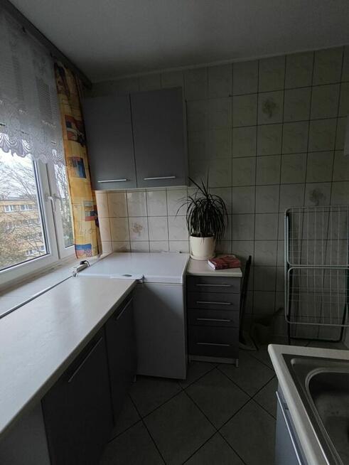 M3Widzew pełen rozkład do wprowadzenia dobra cena