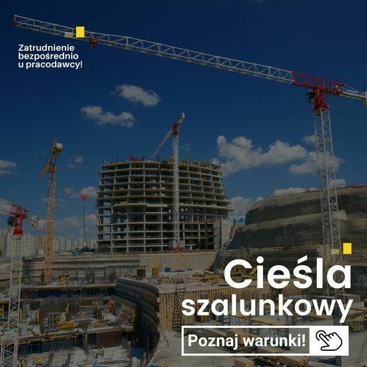 Cieśla szalunkowy (k/m) - Niemcy - blisko granicy!