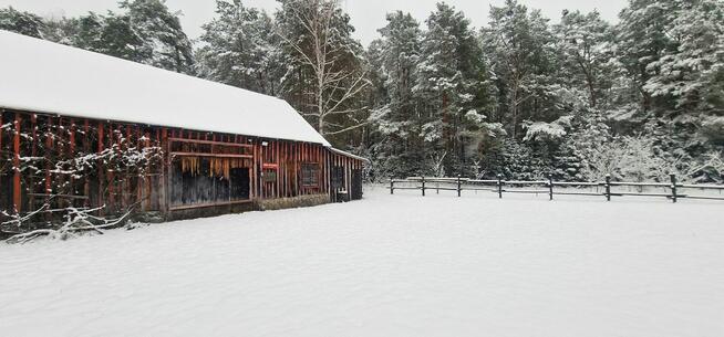 Dom, Villa Sylwester, Las, Impreza, Sauna