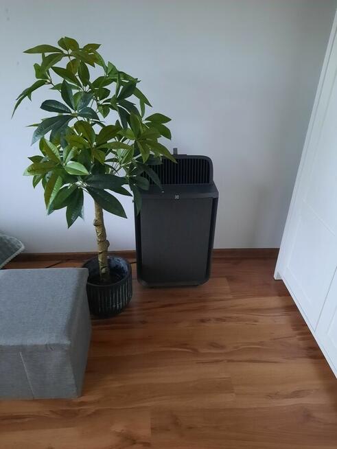 Sprzedam oczyszczacz powietrza, nawilżacz I wiatrak. 3w1